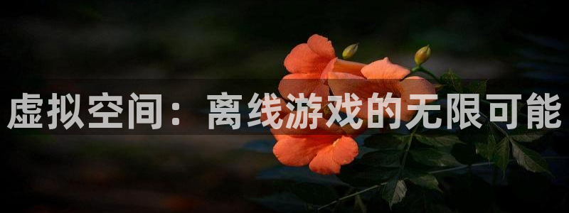 虚拟空间：离线游戏的无限可能