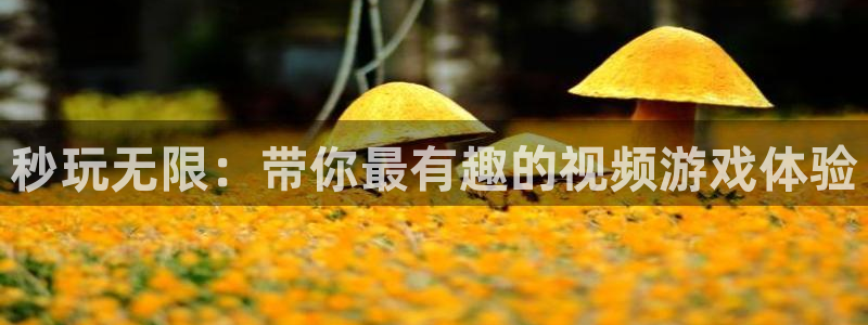 雷火竞技电竞官网入口下载