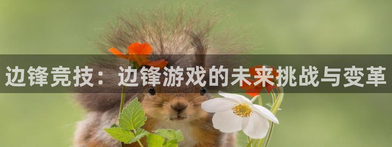 雷火竞技官网入口正式版