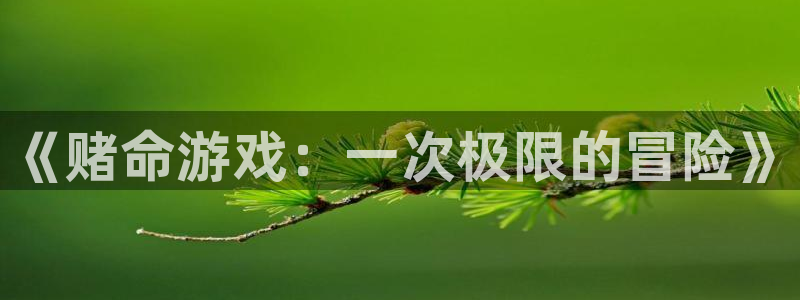 雷火竞技官网下载：《赌命游戏：一次极限的冒险》