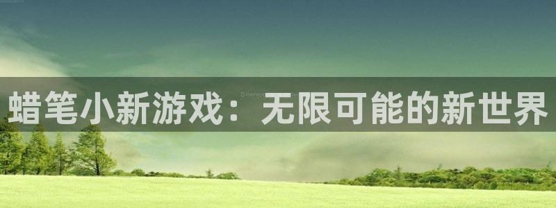 雷火竞技竞猜在线官网：蜡笔小新游戏：无限可能的新世界