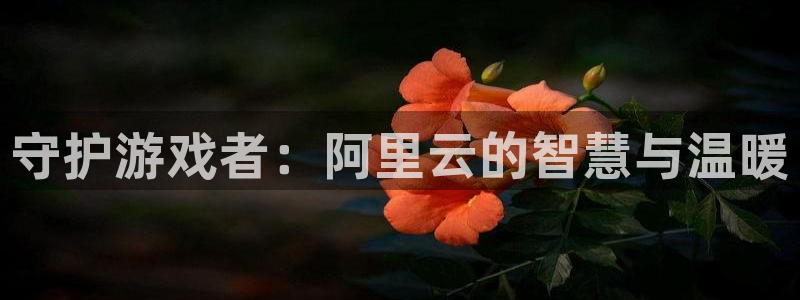 雷火竞技官方客服电话人工服务：守护游戏者：阿里云的智慧与温暖