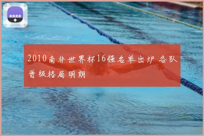 2010南非世界杯16强名单出炉 各队晋级格局明朗