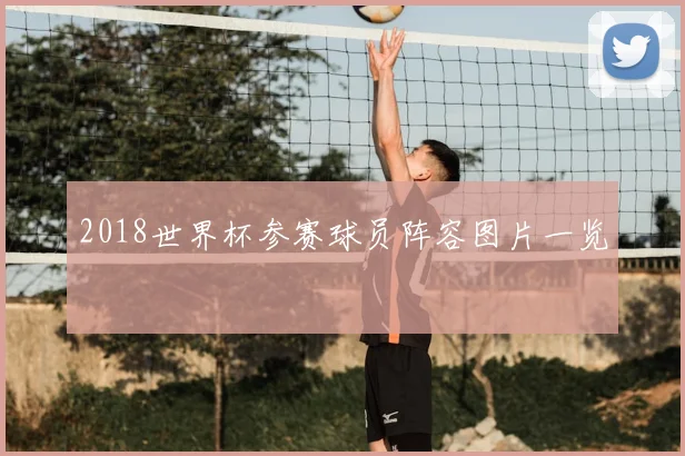 2018世界杯参赛球员阵容图片一览