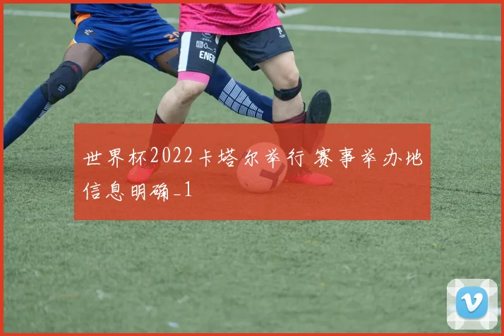 世界杯2022卡塔尔举行 赛事举办地信息明确_1