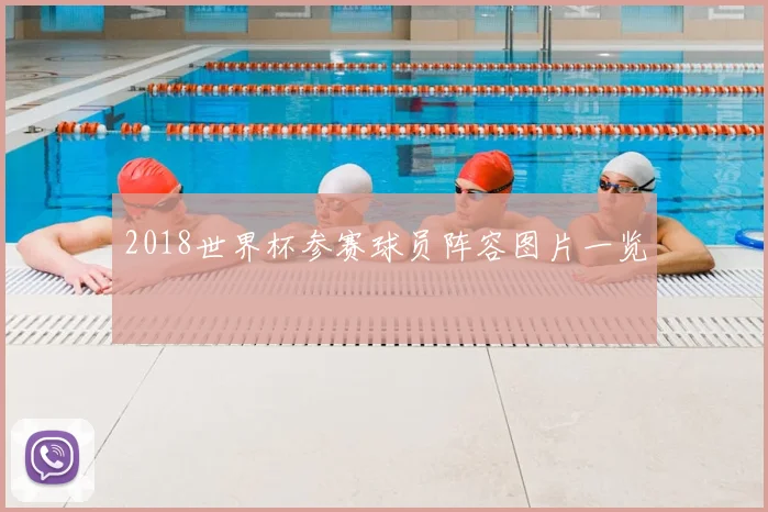 2018世界杯参赛球员阵容图片一览