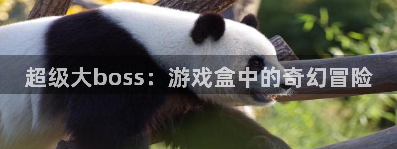 雷火竞技app官网客服电话