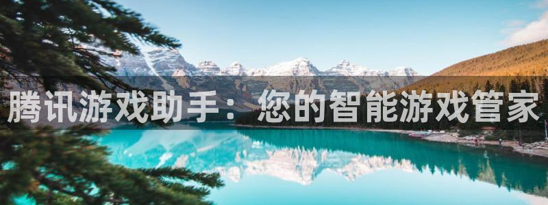 雷火竞技app官网客服